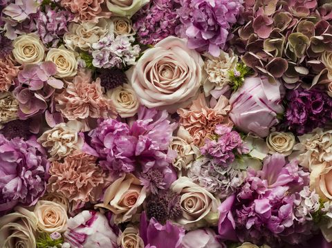 Petal, Violet, Purple, Flower, Lavender, Pink, Bouquet, Floristry, Flowering plant, Cut flowers, 