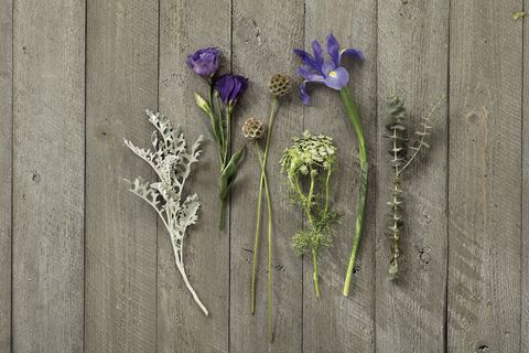 Wood, Flower, Purple, Lavender, Botany, Violet, Flowering plant, Plant stem, Still life photography, Artificial flower, 