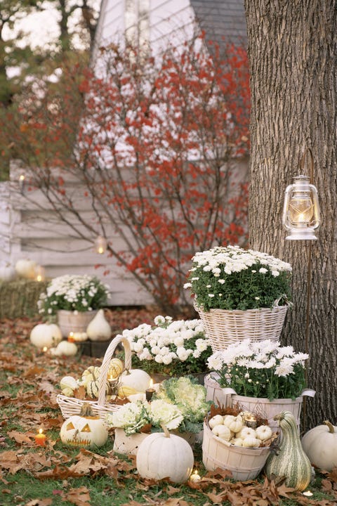 white pumpkins outdoor halloween decorations