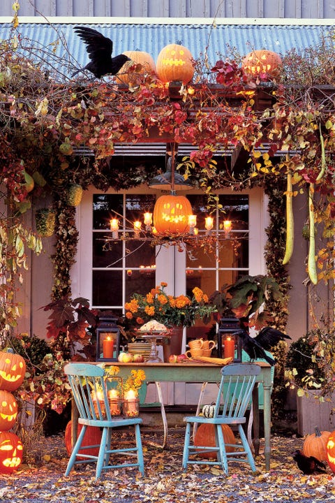 halloween wonderland party decor