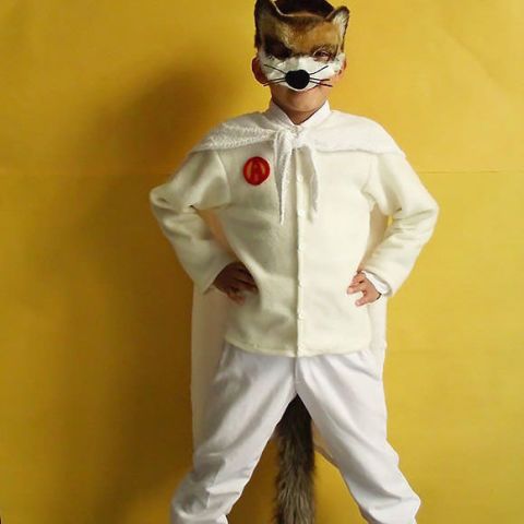 fantastic mr fox ash costume