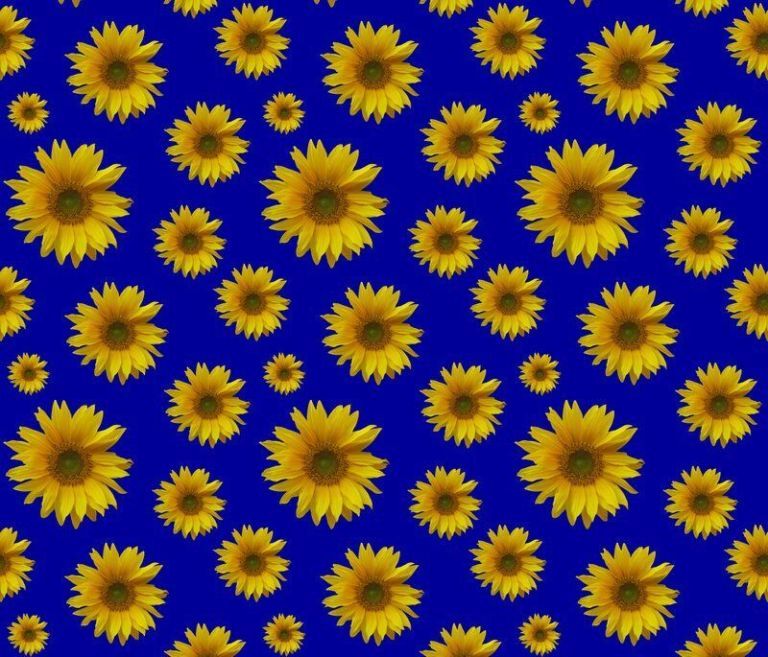 Cute Rustic Sunflower Pattern Blue Background Fabric