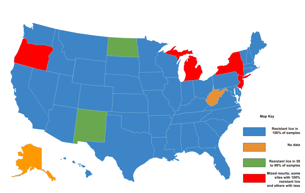 Treatment Resistant Lice Found in 42 States —Study Reveals The ...