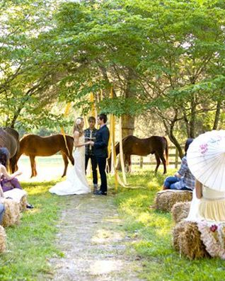 horses at wedding ceremony