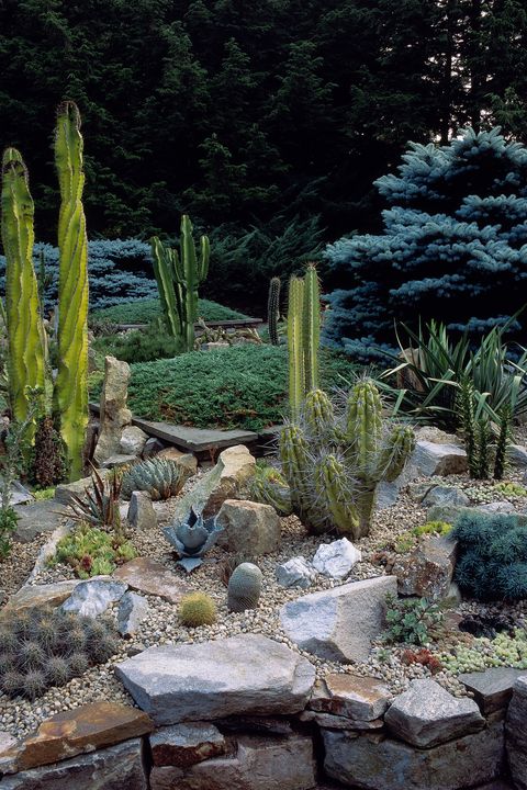 6 Best Rock Garden Ideas Yard Landscaping With Rocks