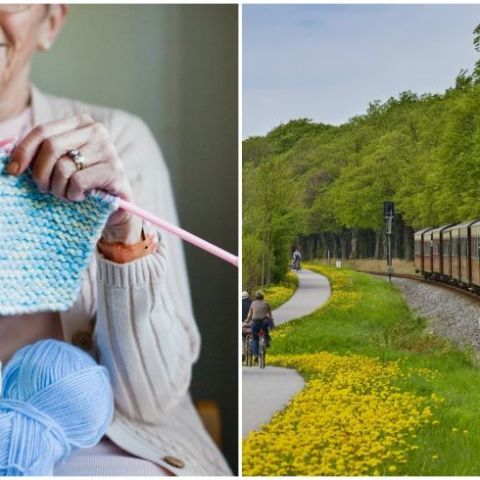 Knitting and Train Rides