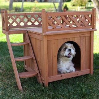dog house with patio