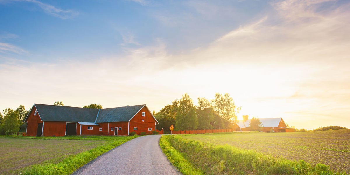 Growing Up On An Amish Farm Makes You Less at Risk for Asthma - Causes ...