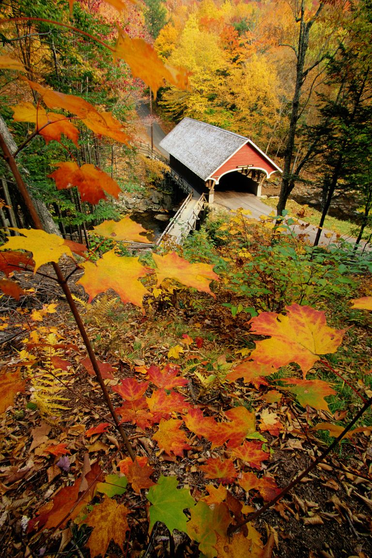 Pretty Autumn Covered Bridge Pictures - Beautiful Bridges - Country Living