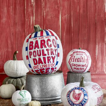 pumpkins decoupaged with vintage grain sack patterns, displayed on galvanized buckets in front of red barnwood wall
