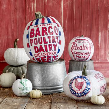 pumpkins decoupaged with vintage grain sack patterns, displayed on galvanized buckets in front of red barnwood wall