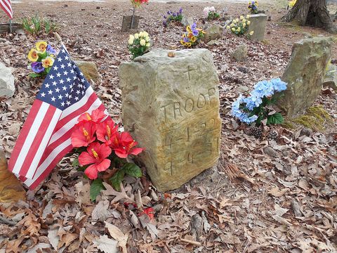 Flag, Leaf, Headstone, Flag of the united states, Deciduous, Cemetery, Groundcover, Carmine, Grave, Memorial, 