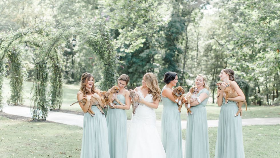 dog wedding ideas bridal party