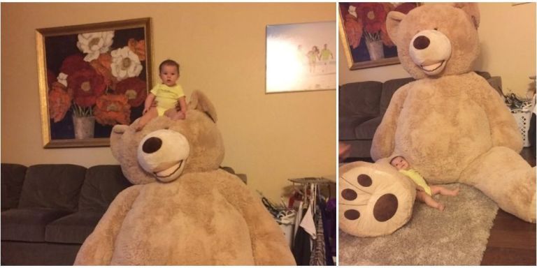 Grandpa Buys Granddaughter Giant Teddy Bear - Costco Teddy Bear