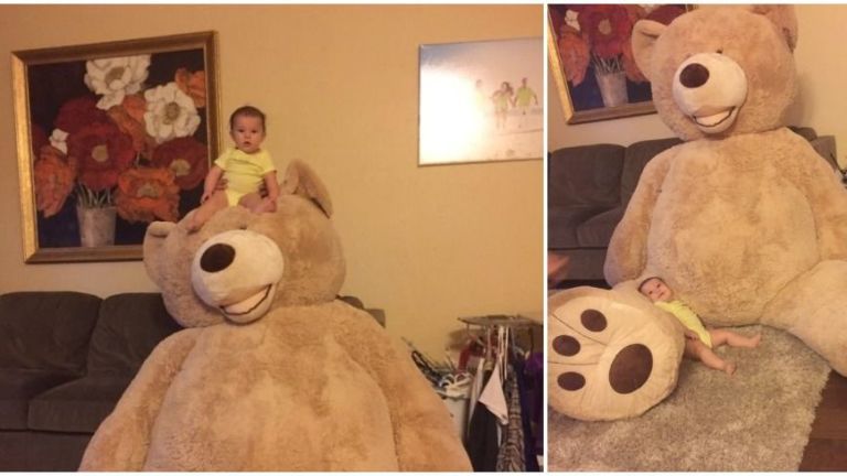 the world's biggest teddy bear