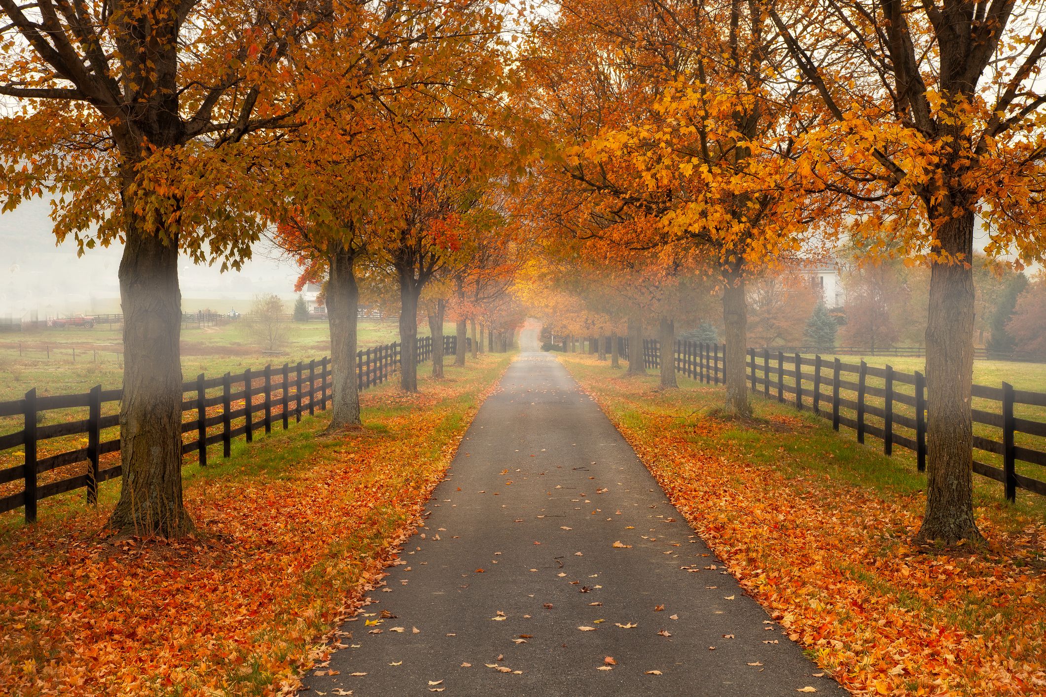 fall bike rides near me