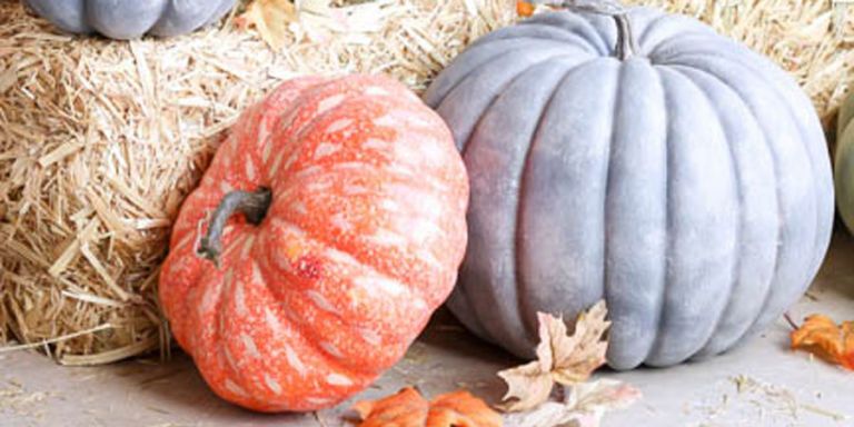 This Faux Galvanized Pumpkin DIY is the Prettiest Way to Dress Up Your