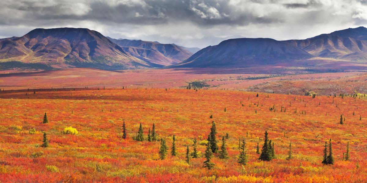 12-best-national-parks-to-visit-in-the-fall-best-places-to-see-fall