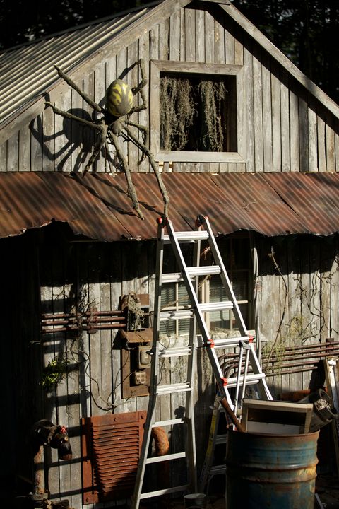Wood, Ladder, House, Iron, Invertebrate, Stairs, Roof, Insect, Log cabin, Shack, 