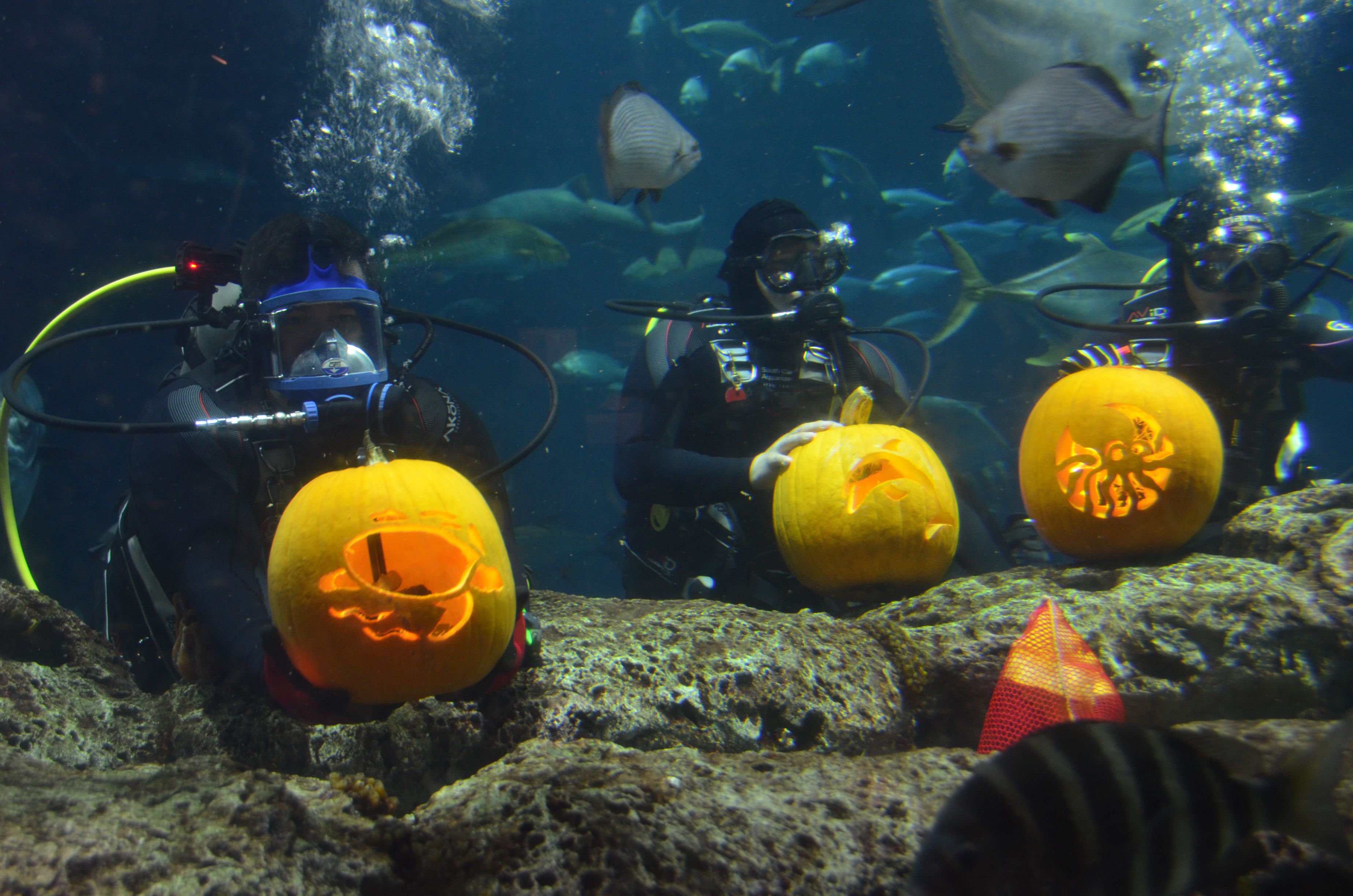 Underwater Pumpkin Carving - Carving A Pumpkin In The Water