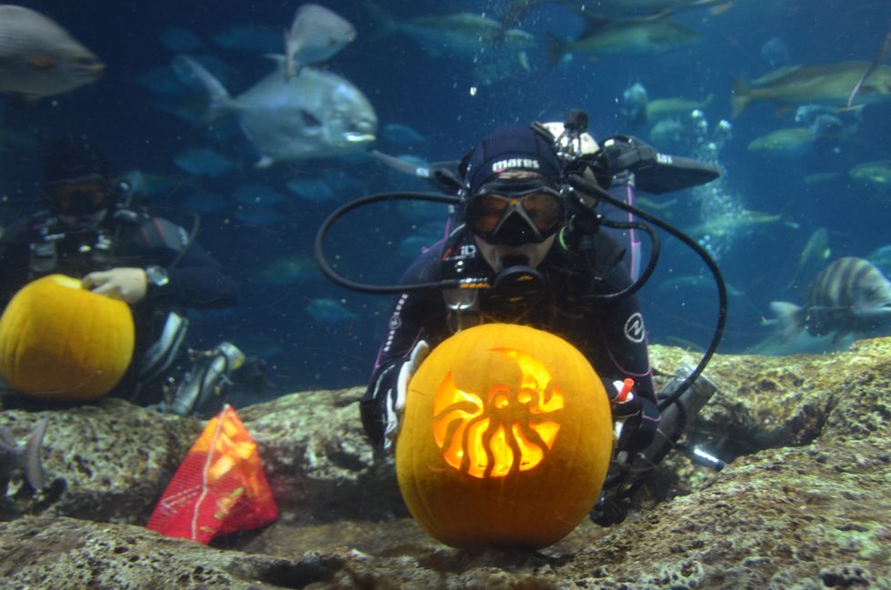 Underwater Pumpkin Carving - Carving a Pumpkin in the Water