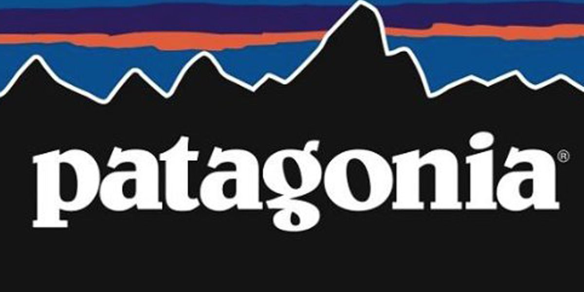 Patagonia Black Friday Promotion Donates 100 of Sales to Environmental