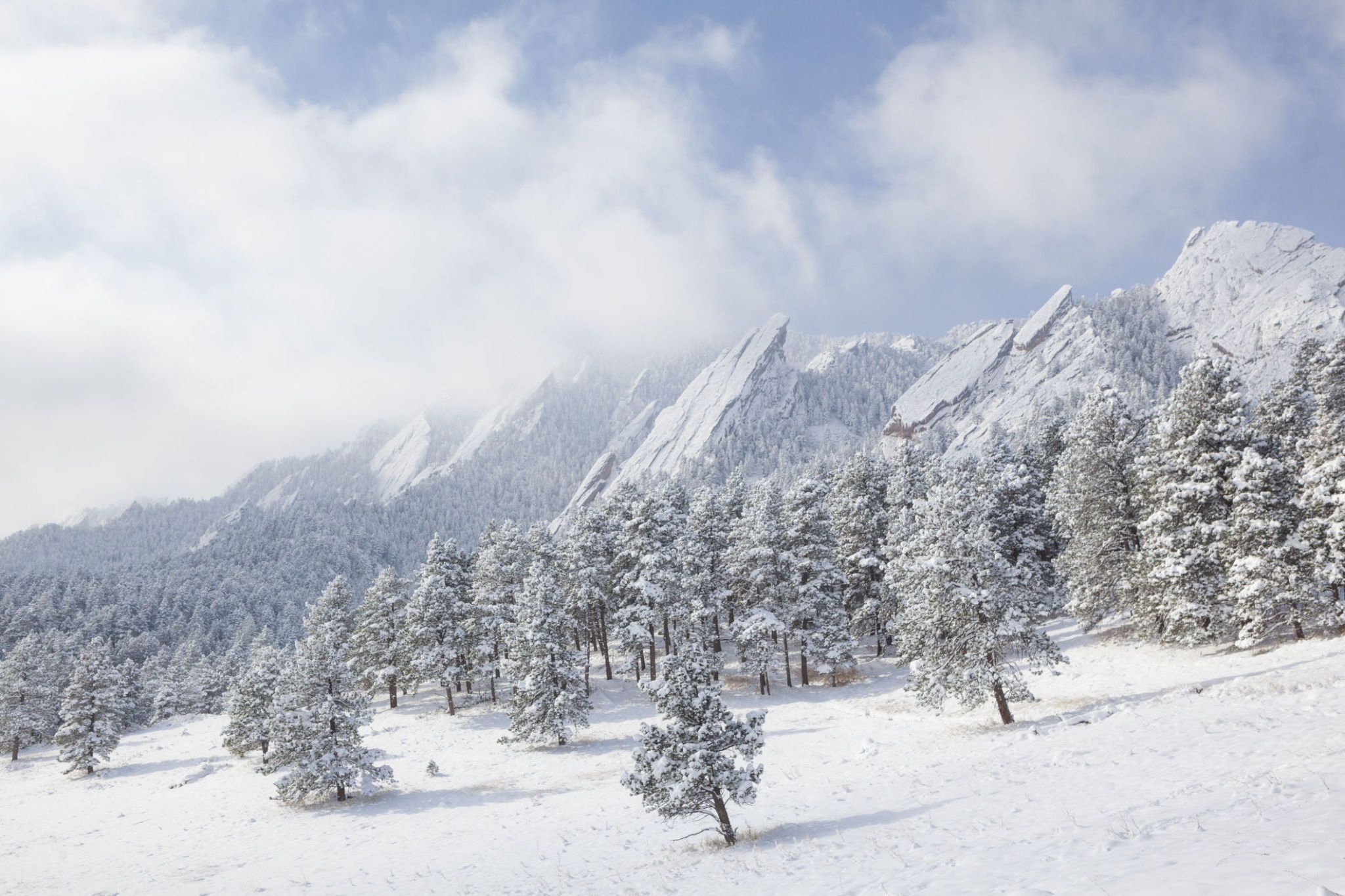 23 Beautiful Pictures of Snow - Photos of Snow on Pinterest