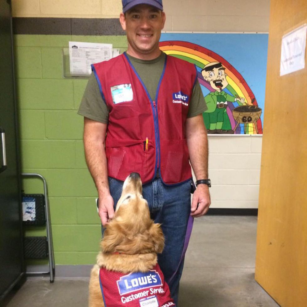 Dogs shop in lowes