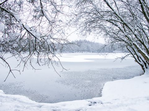 23 Beautiful Pictures Of Snow Photos Of Snow On Pinterest