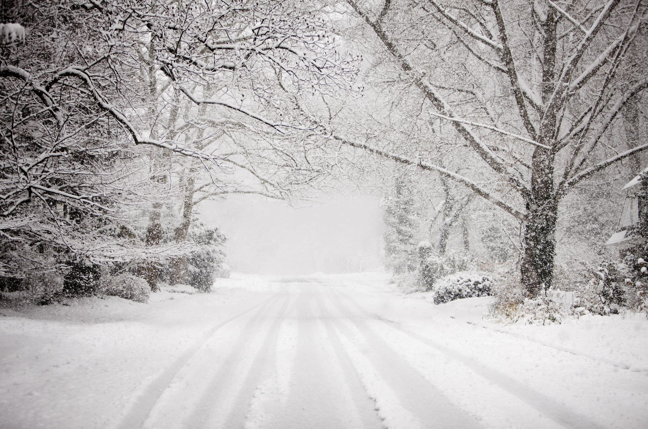 23 Beautiful Pictures of Snow - Photos of Snow on Pinterest