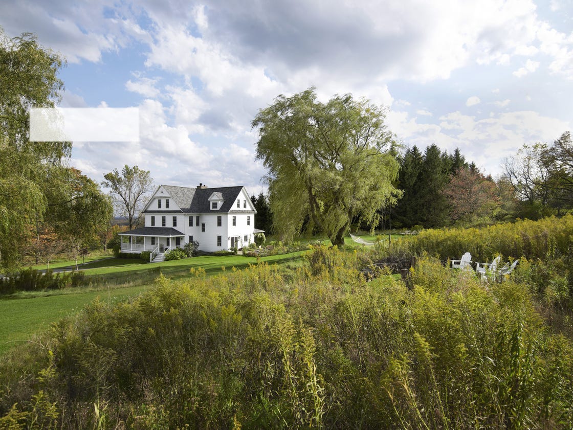 plant, cloud, plant community, tree, land lot, house, shrub, rural area, grassland, meadow,