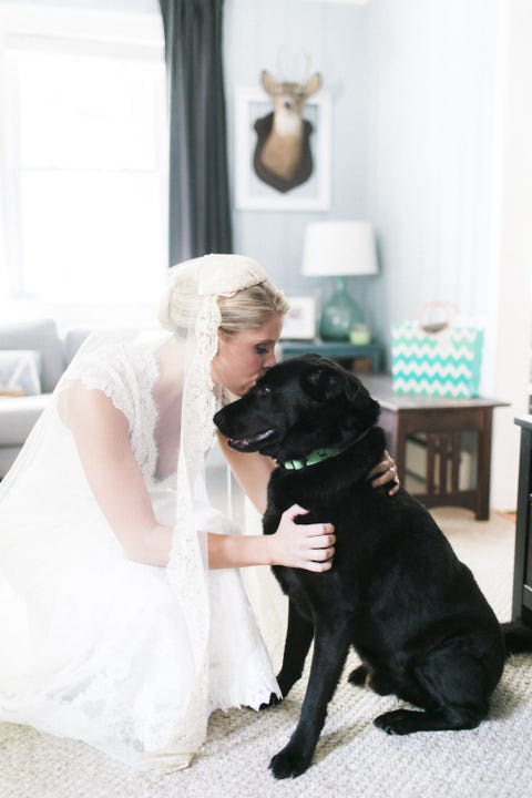 dogs at weddings how to include your dog in your wedding
