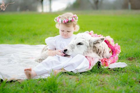 Grass, Pink, People in nature, Summer, Baby & toddler clothing, Petal, Dog, Spring, Hair accessory, Meadow, 