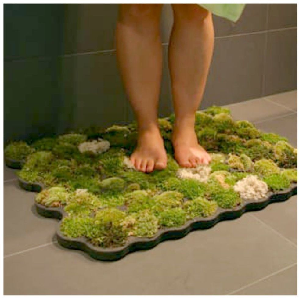 DIY Moss Bath Mat Kit: Transform Your Bathroom – Moss Acres