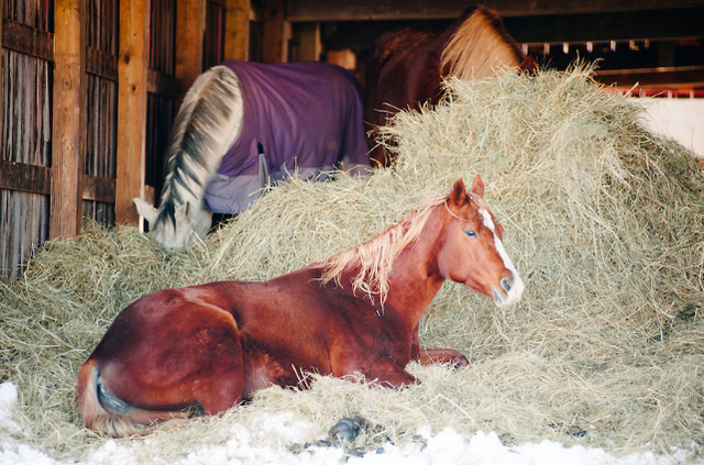 Bundoran Farm Neighborhood Built on Historic Cattle Ranch - Virginia ...