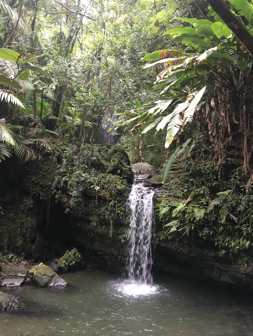 El Yunque waterfall swimming hole