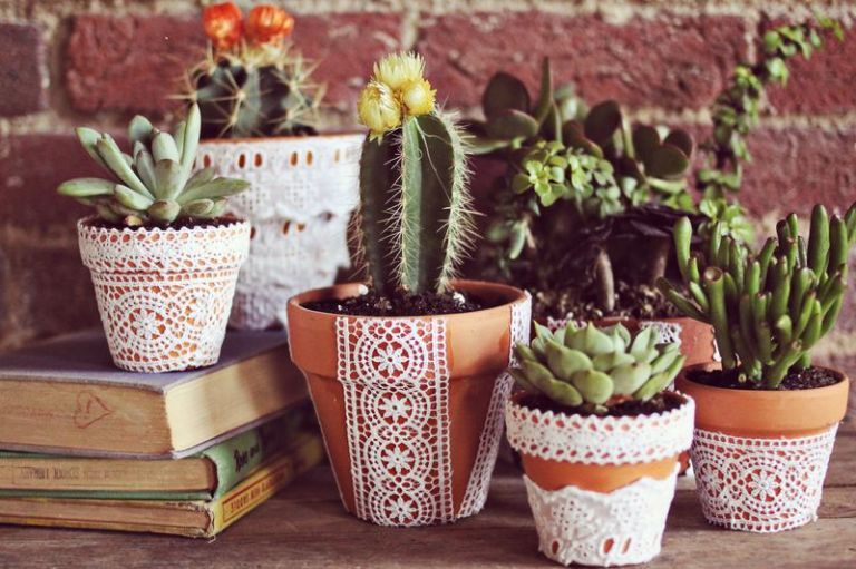 Creative Plant Pot Decorations: Elevate Your Greenery