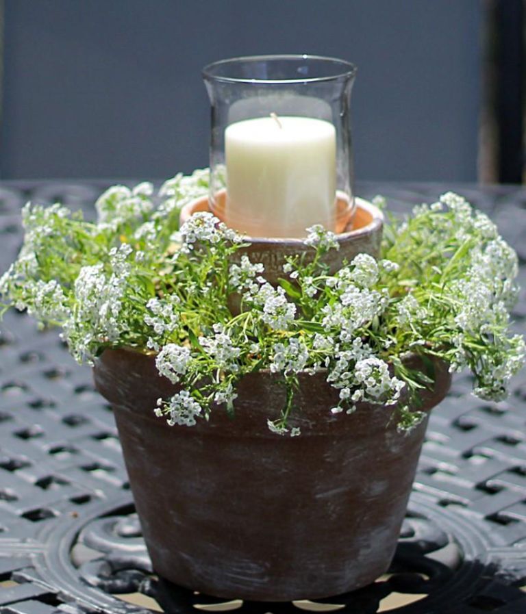 Flowerpot, Lighting, Interior design, Wax, Candle, Houseplant, Annual plant, Candle holder, Herb, Pottery, 