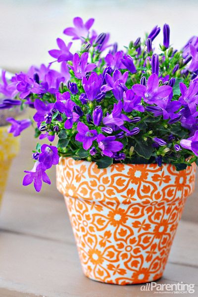 Petal, Flower, Purple, Flowerpot, Violet, Lavender, Bouquet, Flowering plant, Cut flowers, Floristry, 