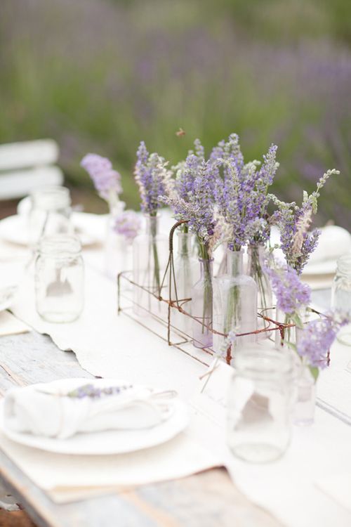 Lavender, Photograph, Purple, Lilac, Flower, Violet, Centrepiece, Plant, Table, Tableware, 