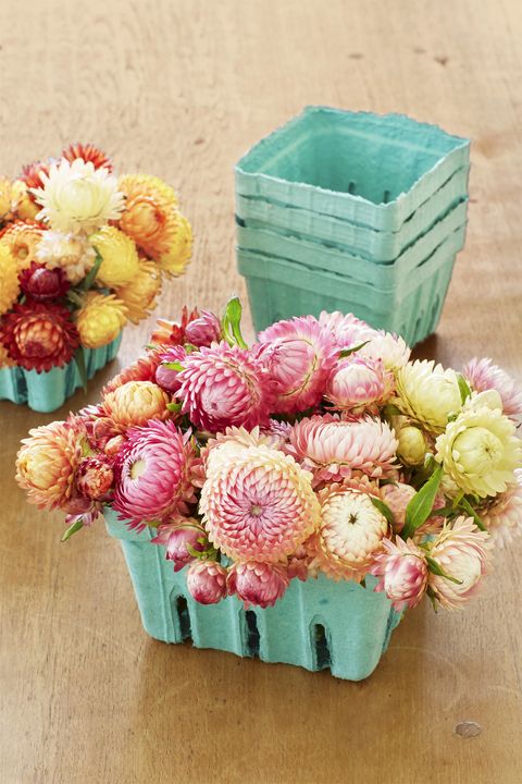 Flower, Cut flowers, Bouquet, Plant, Pink, Peony, Flowering plant, Floral design, Flower Arranging, Chrysanths, 