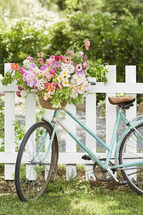 bicycle wheel, bicycle, bicycle accessory, bicycle part, photograph, pink, vehicle, flower, wheel, yellow,