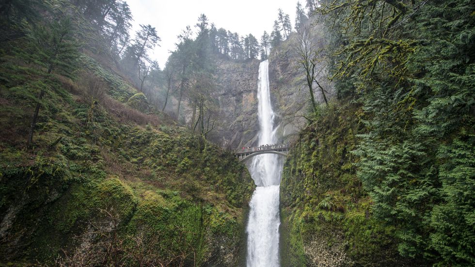 Waterfall, Water resources, Body of water, Natural landscape, Nature, Water, Nature reserve, Watercourse, Vegetation, Natural environment, 