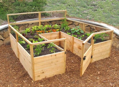 How To Keep Critters Out Of Your Garden Ways Animals Vegetable - What Is The Purpose Of A Raised Garden Bed How To Keep Critters Out Of Your Garden Ways Animals Vegetable - What Is The Purpose Of A Raised Garden Bed