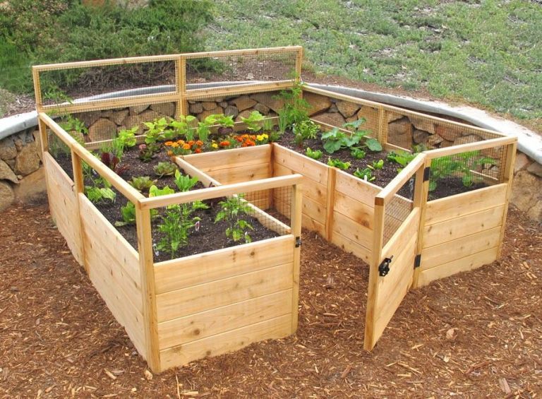 Compost, Soil, Wood, Plant, Garden, Vegetable, Plantation, Herb, Furniture, Agriculture, 