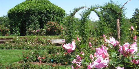 Oldest Gardens In The U S The Country S Oldest Landscaped And