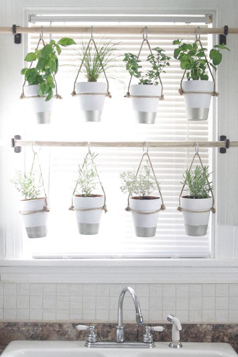 Plant A Vertical Garden, Indoor Vertical Wall Herb Garden