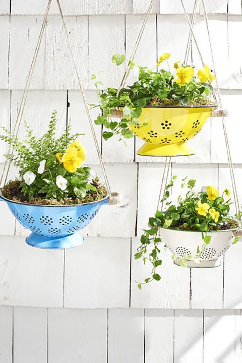 Flowerpot, Flower, Yellow, Plant, Houseplant, Cut flowers, Wildflower, Floral design, Herb, Vascular plant, 