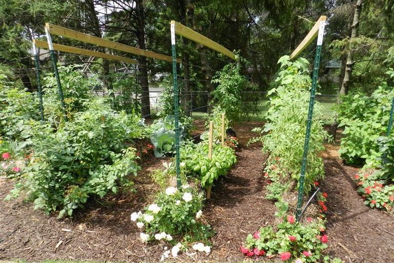 Here's Why You Should Really Be Adding Straw Bales to Your Garden