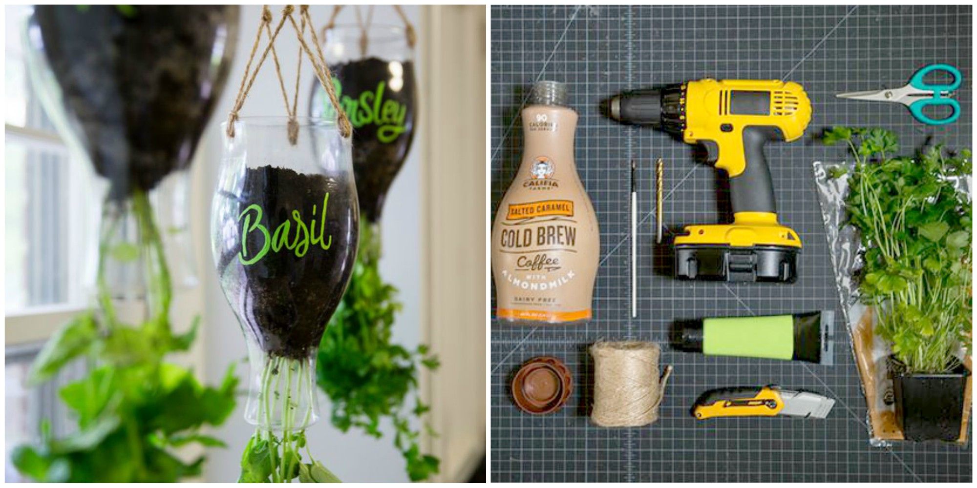 How To Turn Plastic Bottles Into The Cutest Indoor Herb Garden For How To Turn Plastic Bottles Into The Cutest Indoor Herb Garden For Your Kitchen